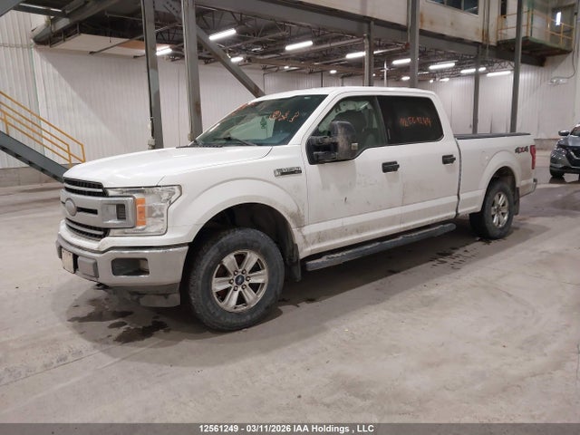 12561249 :رقم المزاد ، 1FTFW1E51JKF46136 vin ، 2018 Ford F150 Supercrew مزاد بيع