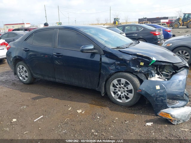 Aukcja sprzedaży 2019 Toyota Corolla Le, vin: 2T1BURHE3KC244722, numer aukcji: 12561262