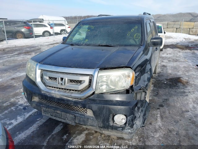 12561279 :رقم المزاد ، 5FNYF4H42AB503256 vin ، 2010 Honda Pilot Ex مزاد بيع
