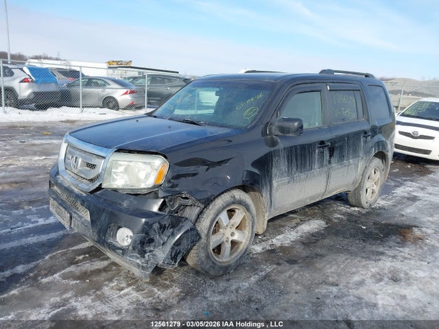 12561279 :رقم المزاد ، 5FNYF4H42AB503256 vin ، 2010 Honda Pilot Ex مزاد بيع