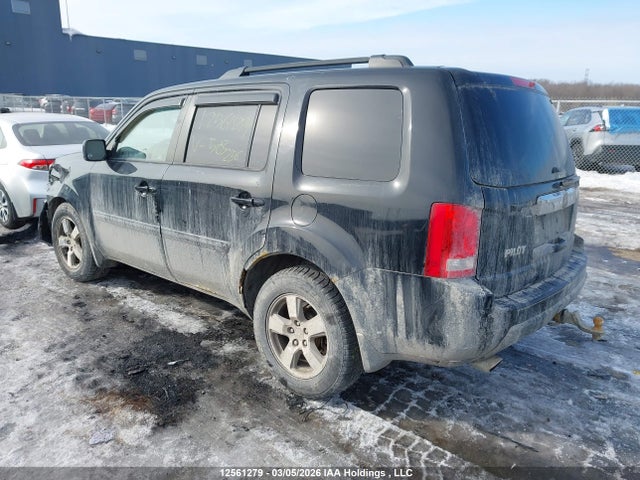 12561279 :رقم المزاد ، 5FNYF4H42AB503256 vin ، 2010 Honda Pilot Ex مزاد بيع