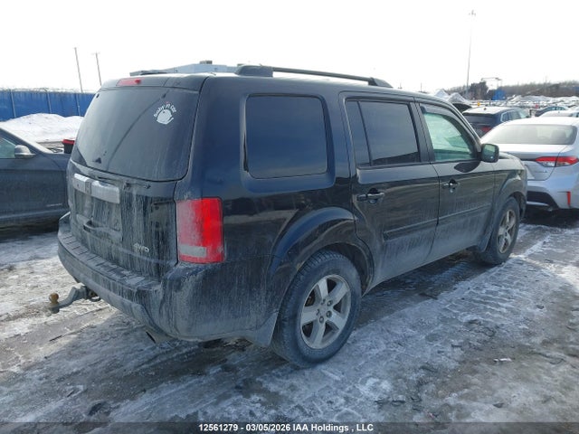 12561279 :رقم المزاد ، 5FNYF4H42AB503256 vin ، 2010 Honda Pilot Ex مزاد بيع