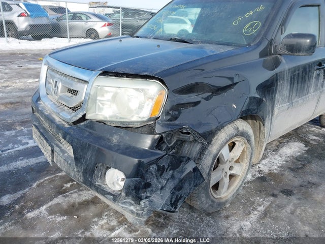 12561279 :رقم المزاد ، 5FNYF4H42AB503256 vin ، 2010 Honda Pilot Ex مزاد بيع