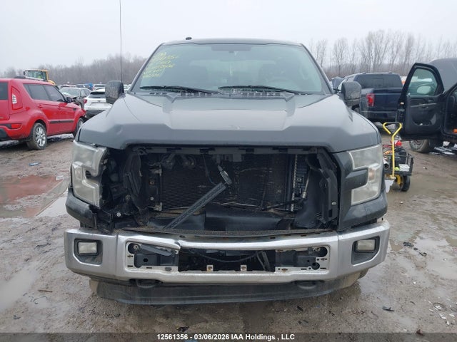 Продажа на аукционе авто 2016 Ford F150 Supercrew, vin: 1FTEW1E80GFB73503, номер лота: 12561356