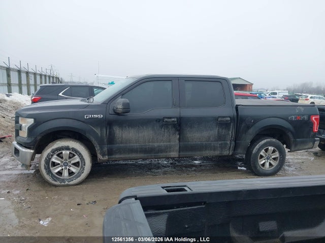 Продажа на аукционе авто 2016 Ford F150 Supercrew, vin: 1FTEW1E80GFB73503, номер лота: 12561356