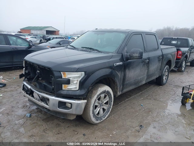 Продажа на аукционе авто 2016 Ford F150 Supercrew, vin: 1FTEW1E80GFB73503, номер лота: 12561356
