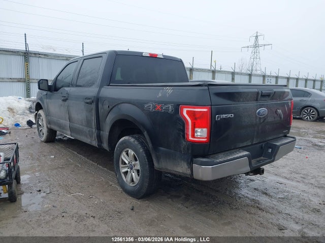 Продажа на аукционе авто 2016 Ford F150 Supercrew, vin: 1FTEW1E80GFB73503, номер лота: 12561356