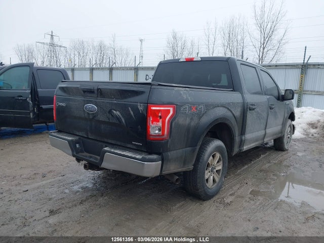 Продажа на аукционе авто 2016 Ford F150 Supercrew, vin: 1FTEW1E80GFB73503, номер лота: 12561356