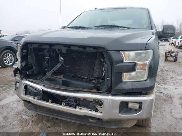 Продажа на аукционе авто 2016 Ford F150 Supercrew, vin: 1FTEW1E80GFB73503, номер лота: 12561356