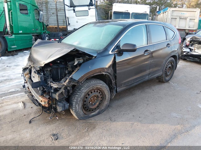Продаж на аукціоні авто 2015 Honda Cr-v Ex, vin: 2HKRM4H57FH120375, номер лоту: 12561370