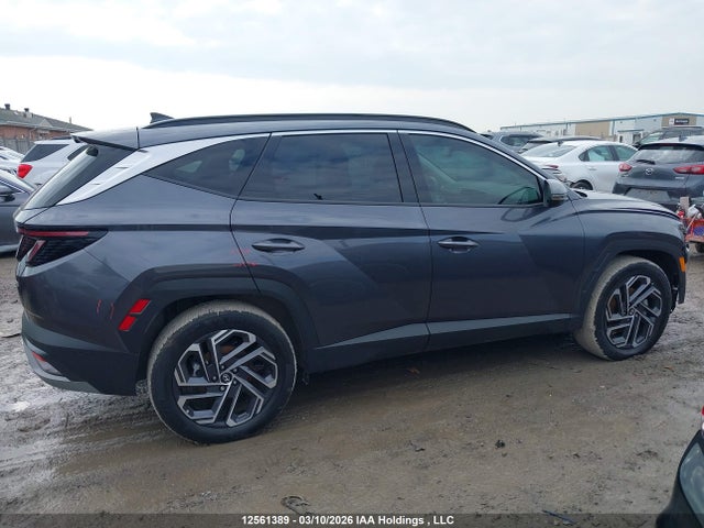 2025 Hyundai Tucson Ultimate Hybrid Awd მანქანა იყიდება აუქციონზე, vin: KM8JCDD14SU285461, აუქციონის ნომერი: 12561389