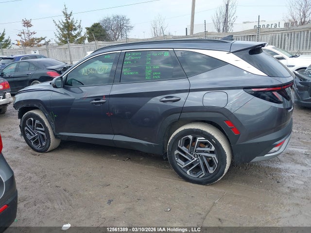 2025 Hyundai Tucson Ultimate Hybrid Awd მანქანა იყიდება აუქციონზე, vin: KM8JCDD14SU285461, აუქციონის ნომერი: 12561389