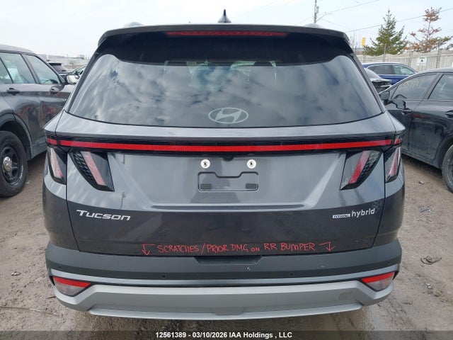 2025 Hyundai Tucson Ultimate Hybrid Awd მანქანა იყიდება აუქციონზე, vin: KM8JCDD14SU285461, აუქციონის ნომერი: 12561389