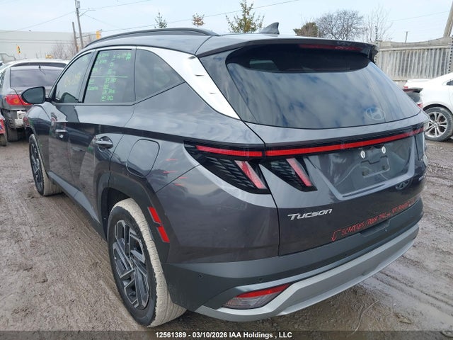 2025 Hyundai Tucson Ultimate Hybrid Awd მანქანა იყიდება აუქციონზე, vin: KM8JCDD14SU285461, აუქციონის ნომერი: 12561389
