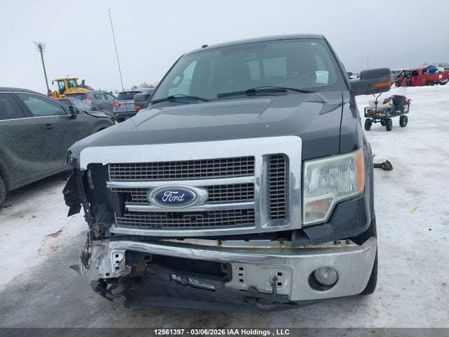 12561397 :رقم المزاد ، 1FTFW1EV4AFB80312 vin ، 2010 Ford F150 Supercrew مزاد بيع