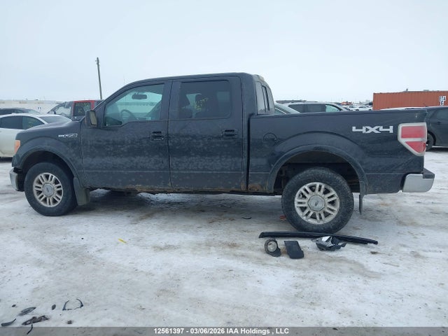 12561397 :رقم المزاد ، 1FTFW1EV4AFB80312 vin ، 2010 Ford F150 Supercrew مزاد بيع