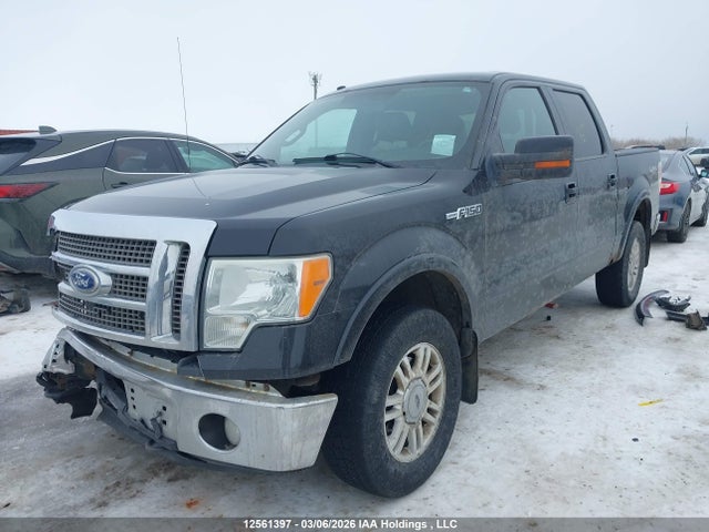 12561397 :رقم المزاد ، 1FTFW1EV4AFB80312 vin ، 2010 Ford F150 Supercrew مزاد بيع