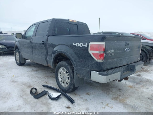 12561397 :رقم المزاد ، 1FTFW1EV4AFB80312 vin ، 2010 Ford F150 Supercrew مزاد بيع