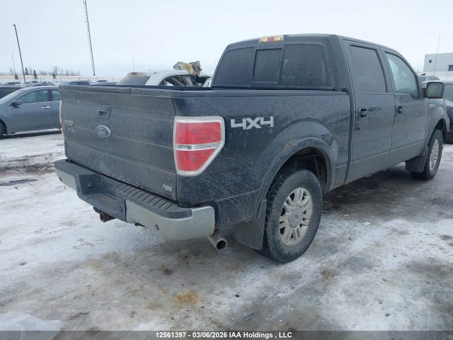 12561397 :رقم المزاد ، 1FTFW1EV4AFB80312 vin ، 2010 Ford F150 Supercrew مزاد بيع