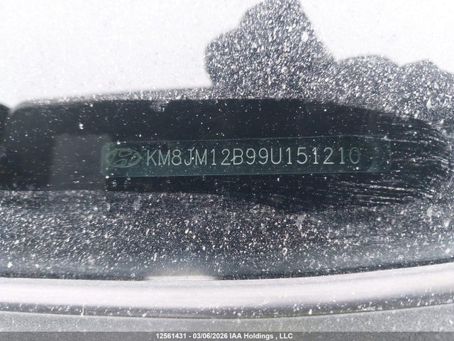 Продажа на аукционе авто 2009 Hyundai Tucson Gls, vin: KM8JM12B99U151210, номер лота: 12561431