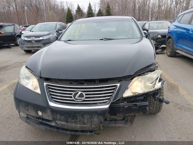 2008 Lexus Es 350 350 მანქანა იყიდება აუქციონზე, vin: JTHBJ46GX82254945, აუქციონის ნომერი: 12561436