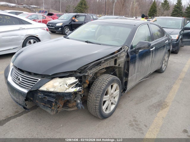 2008 Lexus Es 350 350 მანქანა იყიდება აუქციონზე, vin: JTHBJ46GX82254945, აუქციონის ნომერი: 12561436