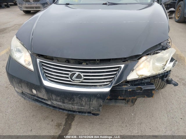 2008 Lexus Es 350 350 მანქანა იყიდება აუქციონზე, vin: JTHBJ46GX82254945, აუქციონის ნომერი: 12561436