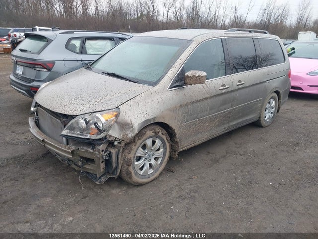 Продаж на аукціоні авто 2008 Honda Odyssey Ex, vin: 5FNRL384X8B505175, номер лоту: 12561490