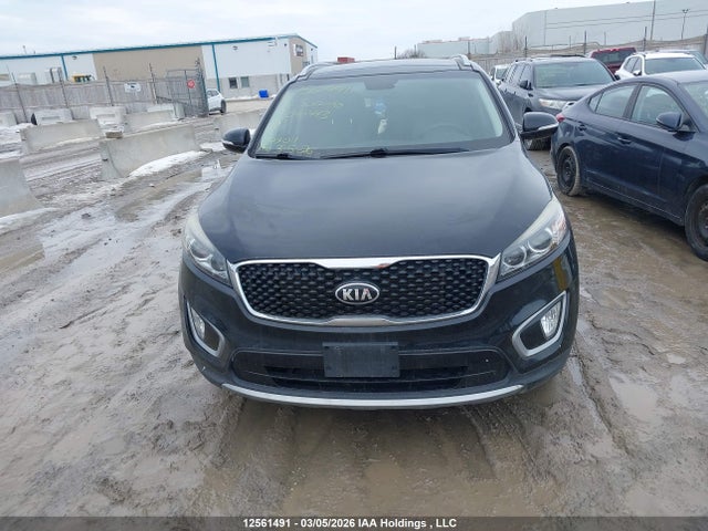 Продажа на аукционе авто 2016 Kia Sorento Ex, vin: 5XYPHDA55GG040443, номер лота: 12561491