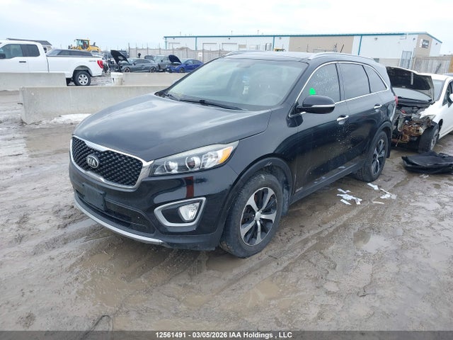 Продажа на аукционе авто 2016 Kia Sorento Ex, vin: 5XYPHDA55GG040443, номер лота: 12561491