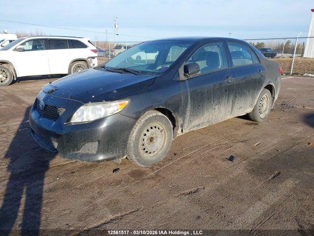 12561517 :رقم المزاد ، 2T1BU4EE4AC452971 vin ، 2010 Toyota Corolla Ce مزاد بيع