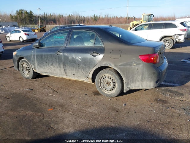 12561517 :رقم المزاد ، 2T1BU4EE4AC452971 vin ، 2010 Toyota Corolla Ce مزاد بيع