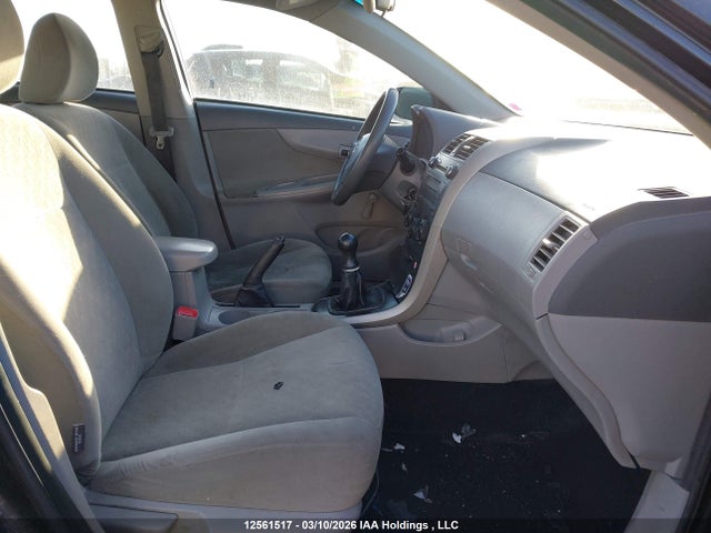 12561517 :رقم المزاد ، 2T1BU4EE4AC452971 vin ، 2010 Toyota Corolla Ce مزاد بيع