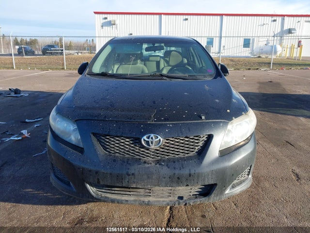 12561517 :رقم المزاد ، 2T1BU4EE4AC452971 vin ، 2010 Toyota Corolla Ce مزاد بيع