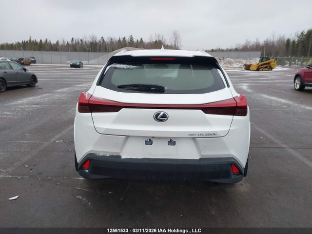 2023 Lexus Ux 250h მანქანა იყიდება აუქციონზე, vin: JTHL9JBHXP2070629, აუქციონის ნომერი: 12561533