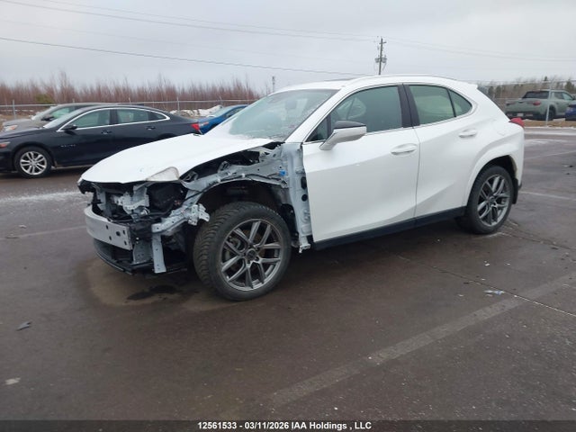 2023 Lexus Ux 250h მანქანა იყიდება აუქციონზე, vin: JTHL9JBHXP2070629, აუქციონის ნომერი: 12561533