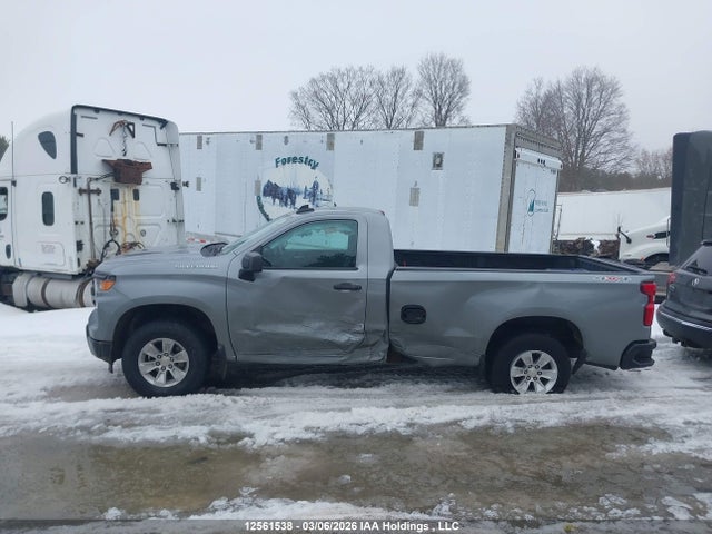 3GCNDAED0RG150162 Chevrolet Silverado 1500 Work Truck