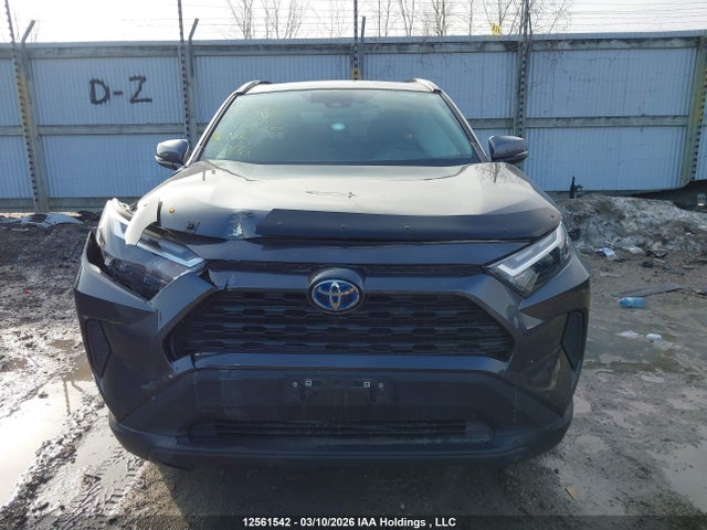 2T3RWRFV4PW172146 Toyota Rav4 Hybrid Xle