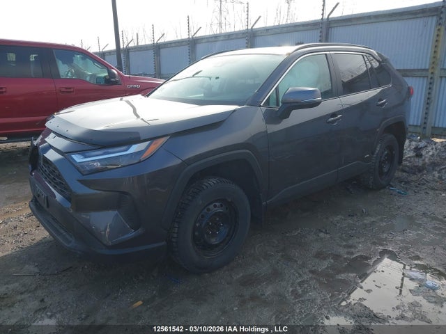 2T3RWRFV4PW172146 Toyota Rav4 Hybrid Xle