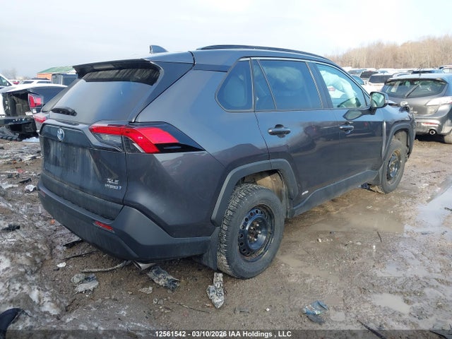 2T3RWRFV4PW172146 Toyota Rav4 Hybrid Xle