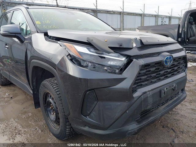 2T3RWRFV4PW172146 Toyota Rav4 Hybrid Xle