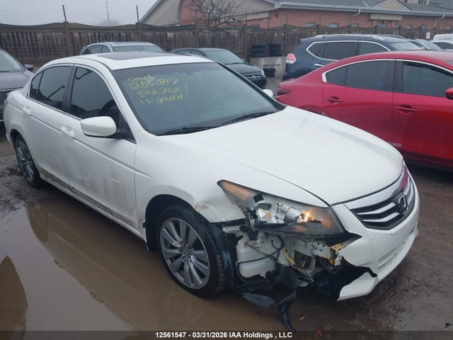 2011 Honda Accord Exl მანქანა იყიდება აუქციონზე, vin: 1HGCP2F8XBA802782, აუქციონის ნომერი: 12561547