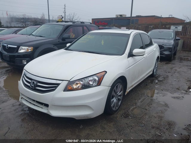 2011 Honda Accord Exl მანქანა იყიდება აუქციონზე, vin: 1HGCP2F8XBA802782, აუქციონის ნომერი: 12561547