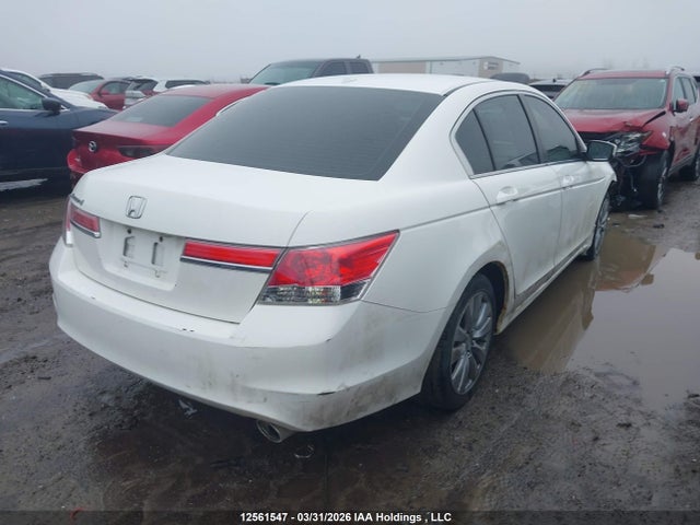 2011 Honda Accord Exl მანქანა იყიდება აუქციონზე, vin: 1HGCP2F8XBA802782, აუქციონის ნომერი: 12561547