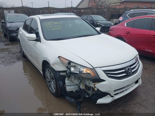 2011 Honda Accord Exl მანქანა იყიდება აუქციონზე, vin: 1HGCP2F8XBA802782, აუქციონის ნომერი: 12561547