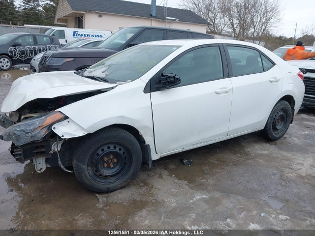 12561551 :رقم المزاد ، 2T1BURHEXHC939322 vin ، 2017 Toyota Corolla Le مزاد بيع