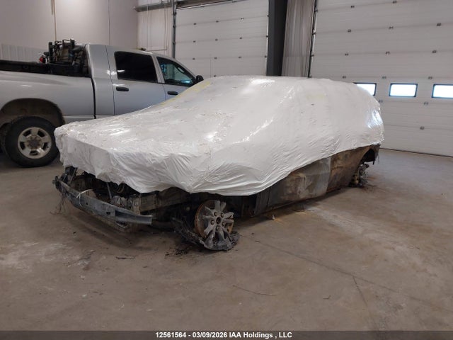 12561564 :رقم المزاد ، 1C4SDJCT9RC204350 vin ، 2024 Dodge Durango R/t مزاد بيع