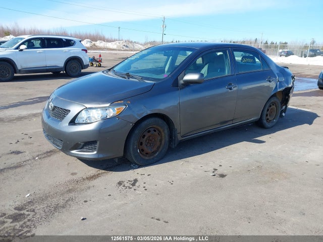 2010 Toyota Corolla Ce მანქანა იყიდება აუქციონზე, vin: 2T1BU4EE3AC370634, აუქციონის ნომერი: 12561575