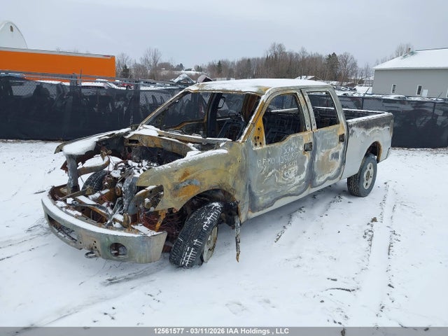 Aukcja sprzedaży 2013 Ford F-150 Xlt, vin: 1FTFW1ET1DFC36838, numer aukcji: 12561577