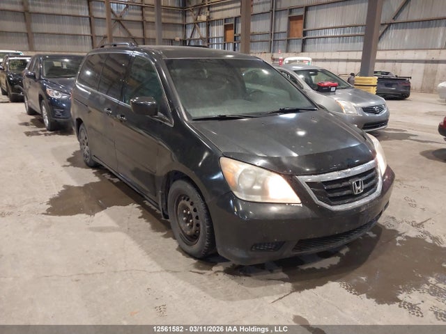 Продаж на аукціоні авто 2008 Honda Odyssey, vin: 5FNRL38288B505867, номер лоту: 12561582